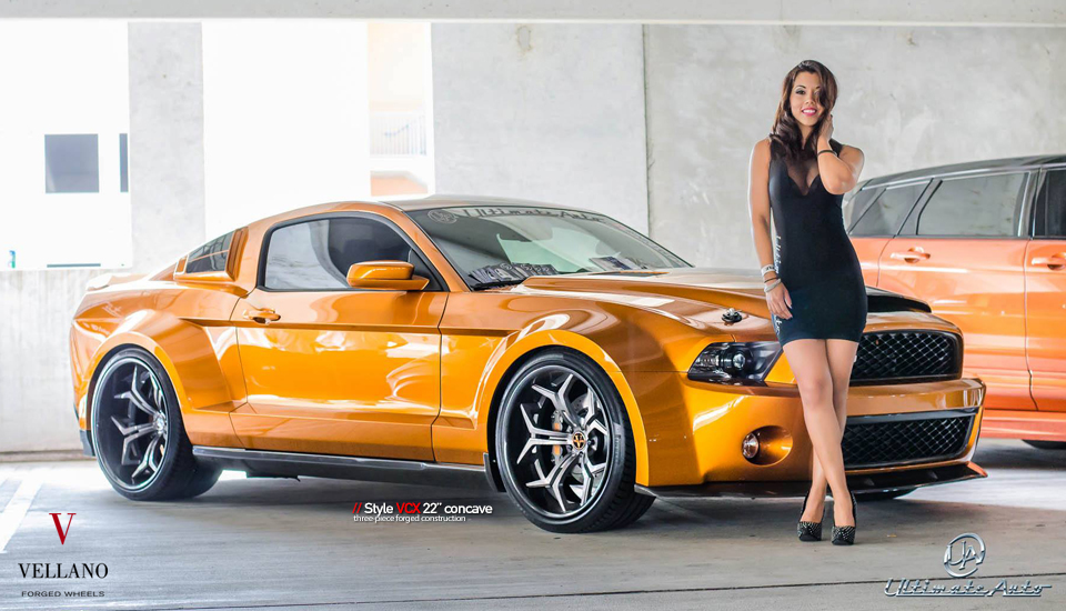 2013 Ford Shelby GT500 photo