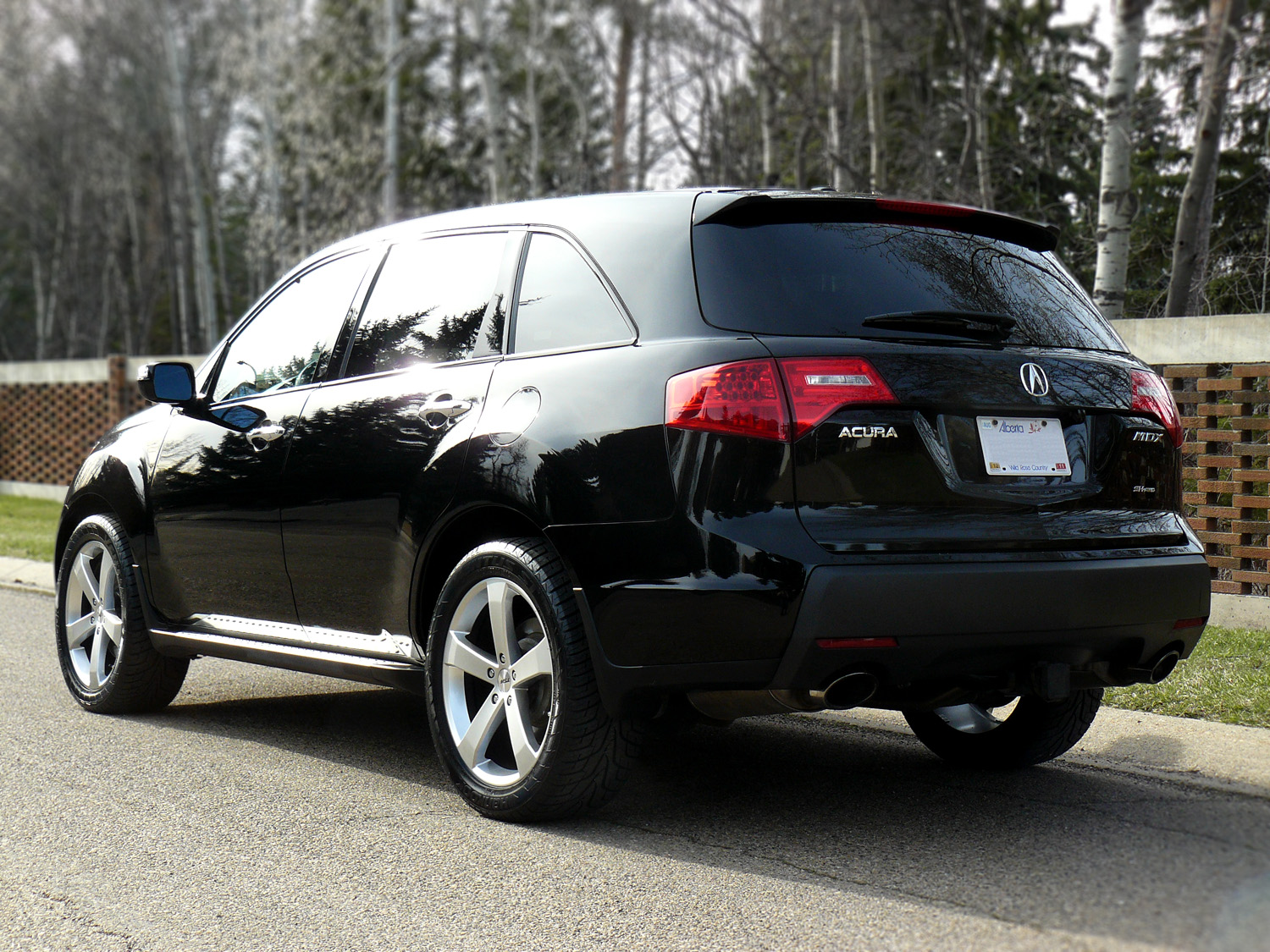 2010 Acura MDX photo