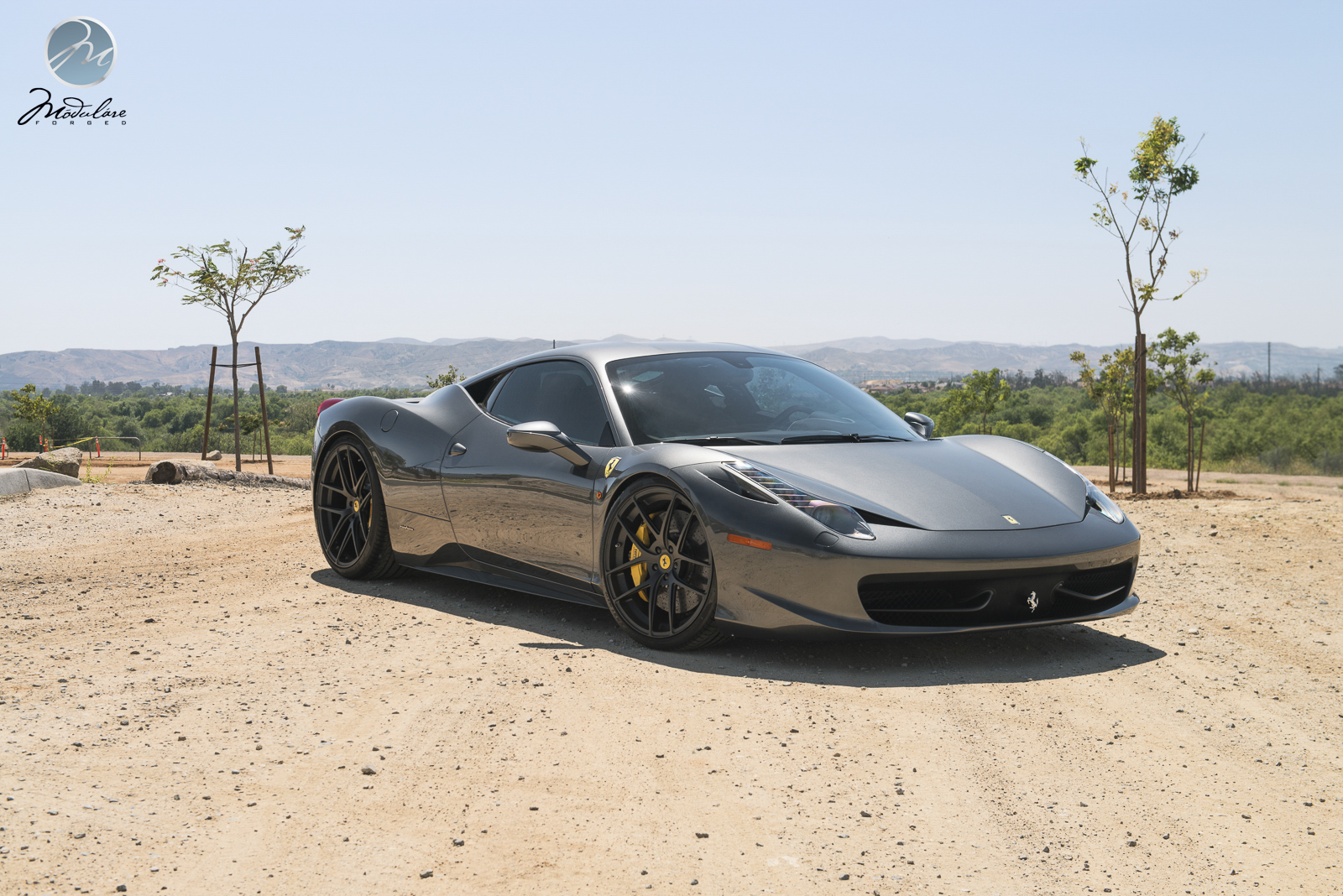 2015 Ferrari 458 Italia photo
