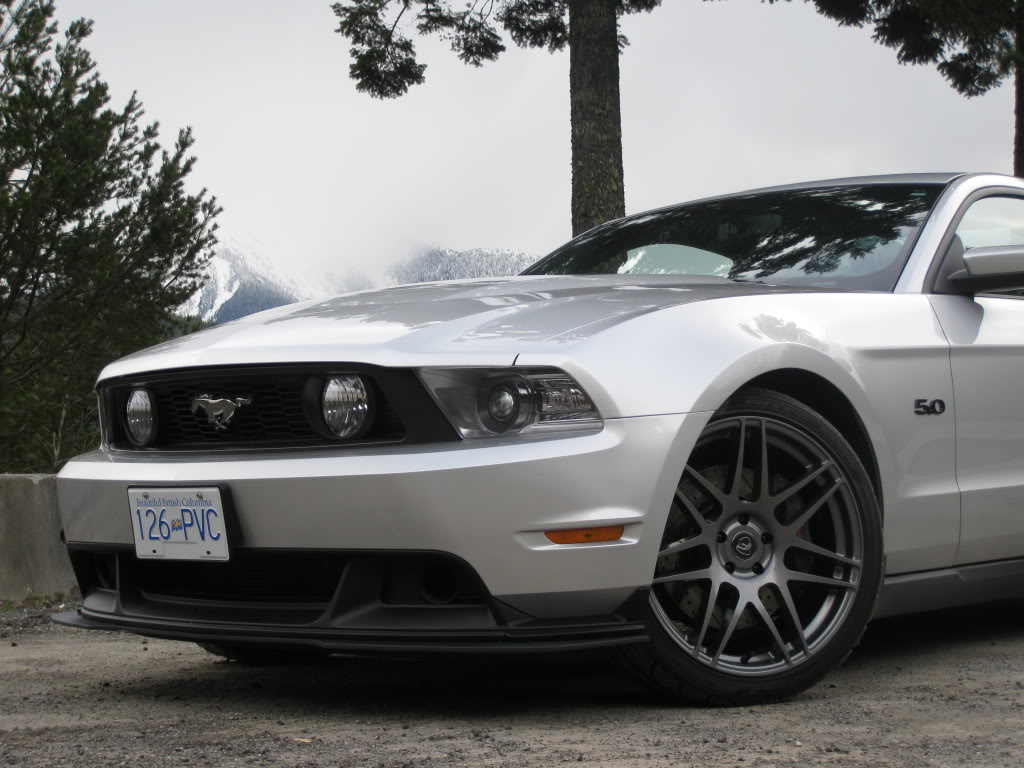 2012 Ford Mustang photo