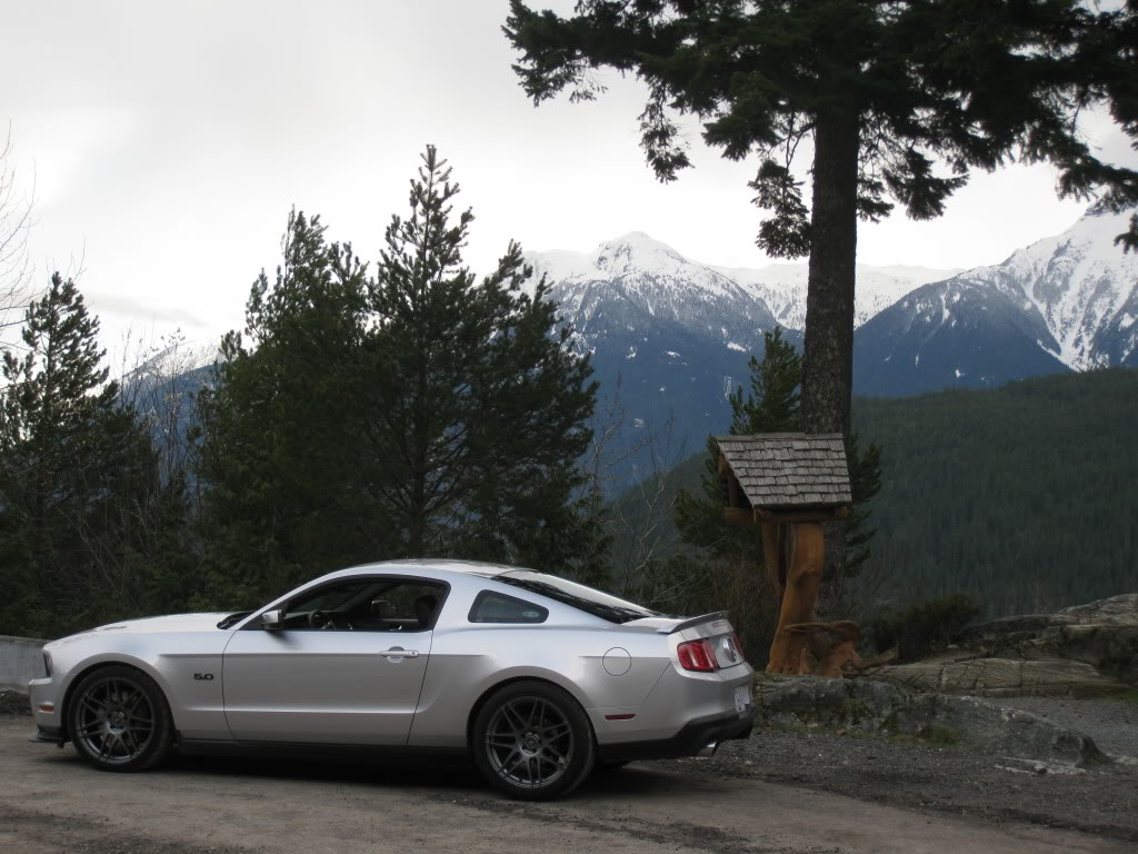 2012 Ford Mustang photo