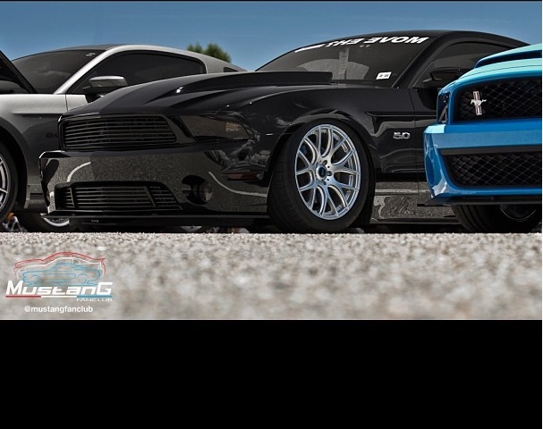 2011 Ford Mustang photo
