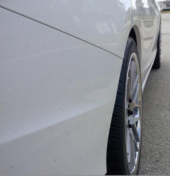 2011 Honda Accord photo