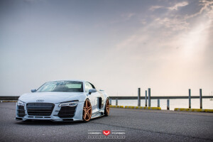 2015 Audi R8