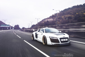 2015 Audi R8