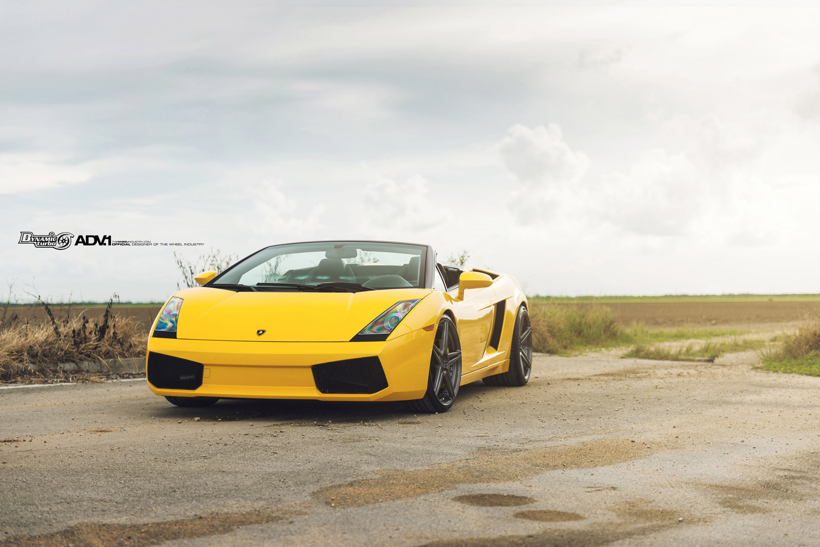 2013 Lamborghini Gallardo photo