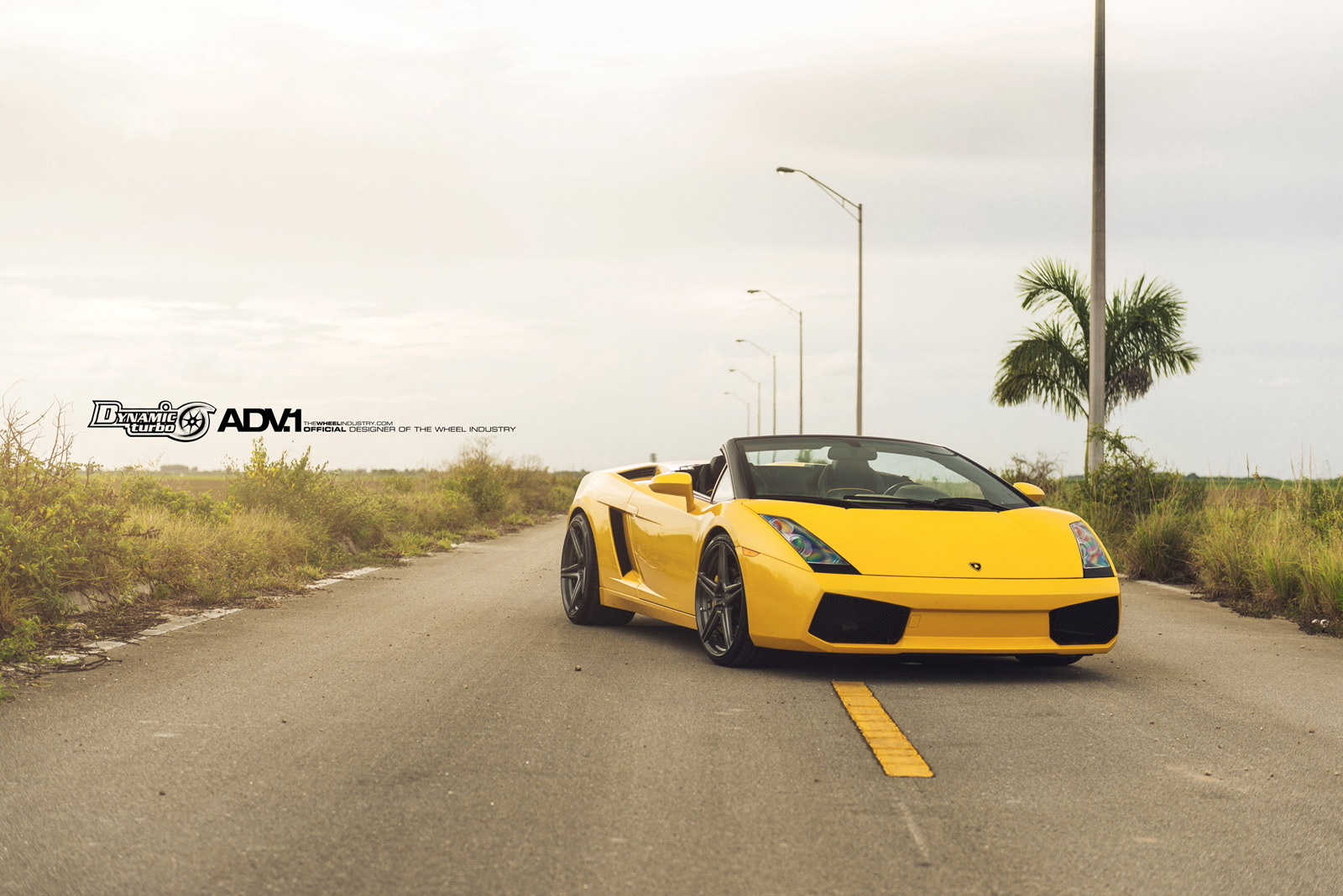 2013 Lamborghini Gallardo photo