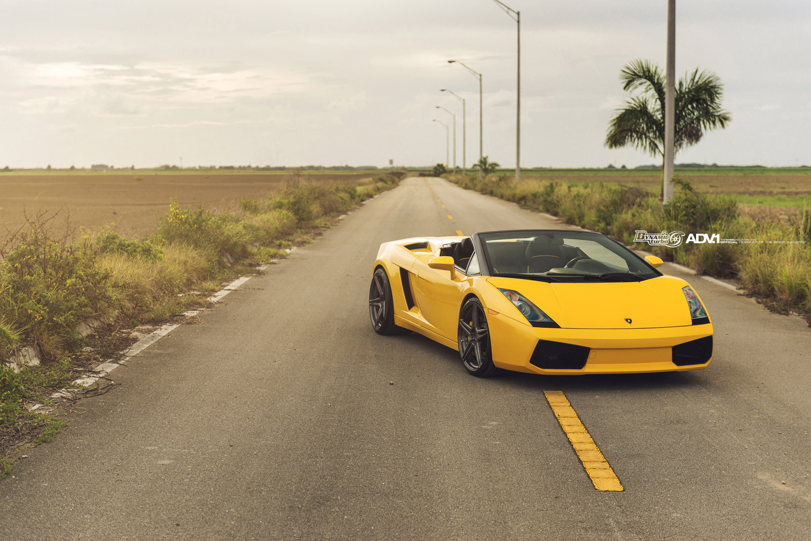 2013 Lamborghini Gallardo photo