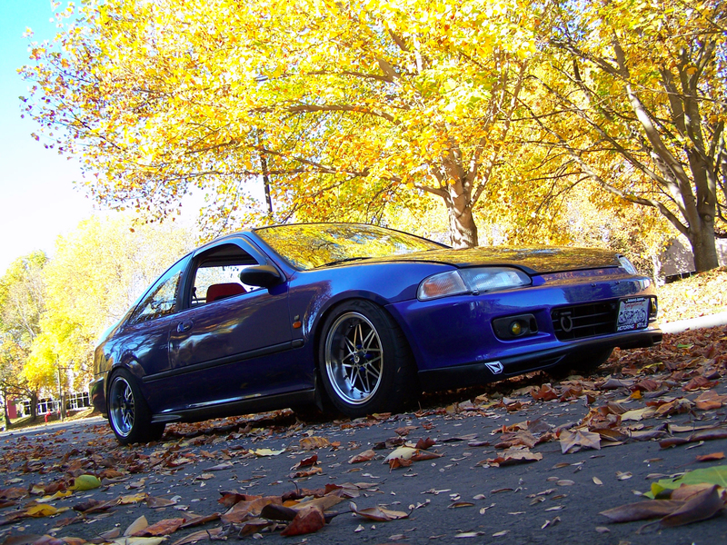 1993 Honda Civic photo