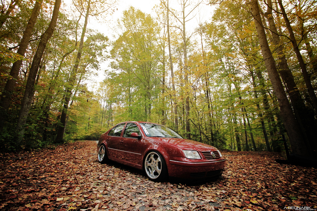 2008 Volkswagen Jetta photo