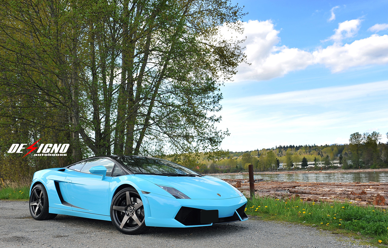 2011 Lamborghini Gallardo photo