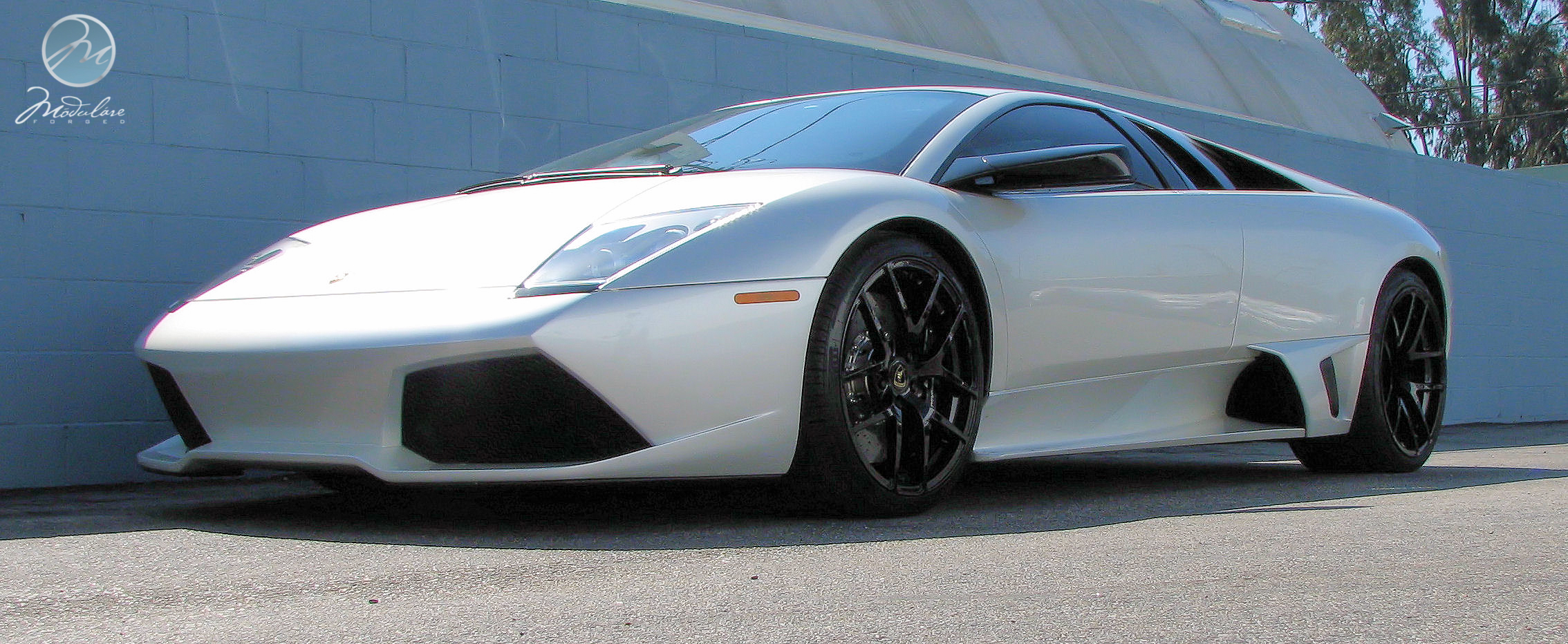 2010 Lamborghini Murcielago photo