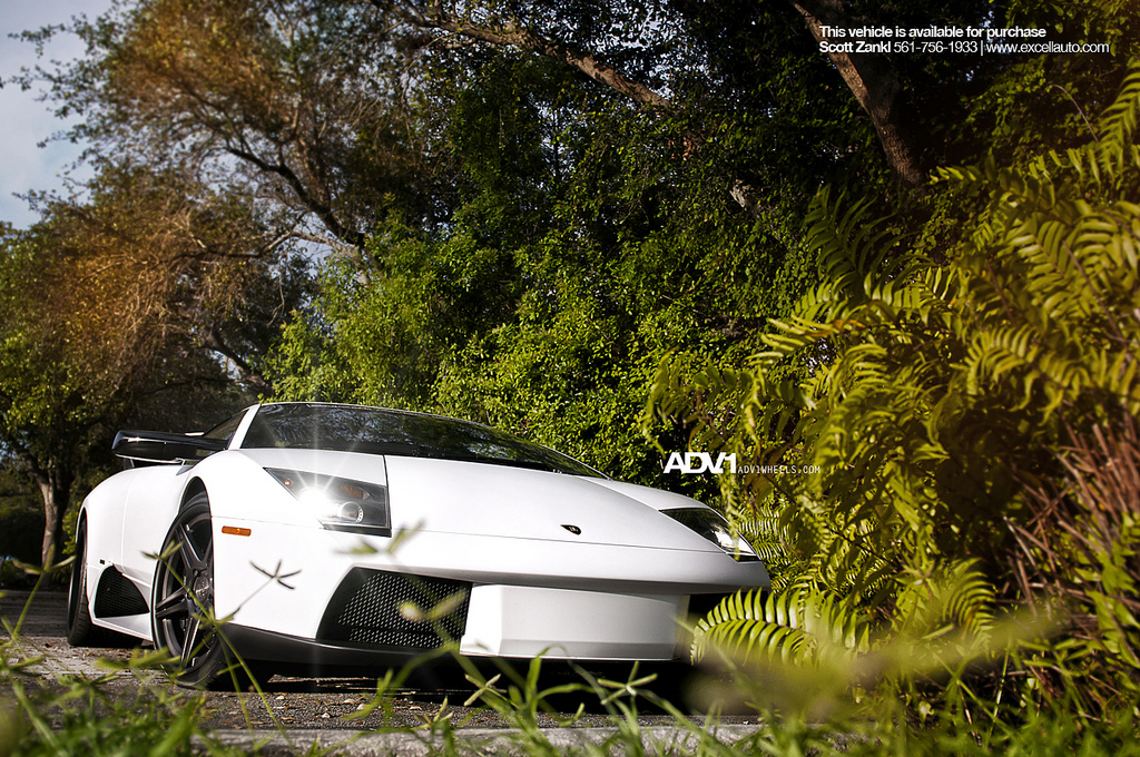 2009 Lamborghini Murcielago photo