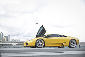 2010 Lamborghini Murcielago