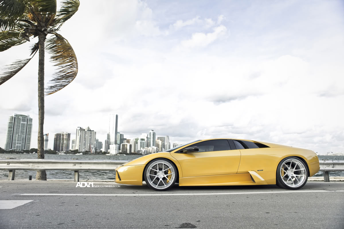 2010 Lamborghini Murcielago photo