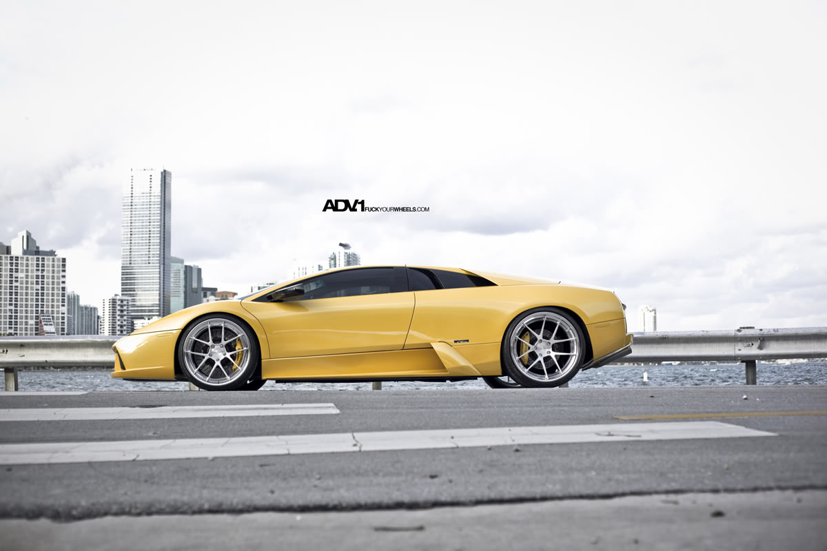 2010 Lamborghini Murcielago photo