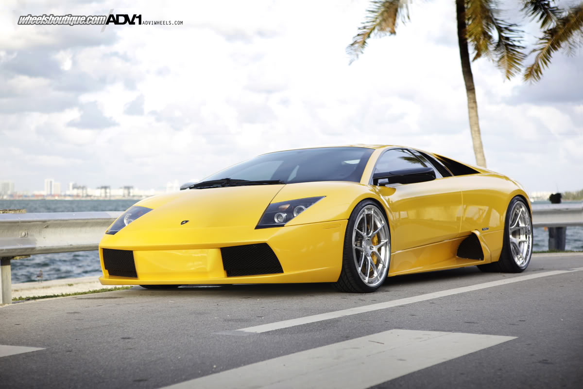 2010 Lamborghini Murcielago photo