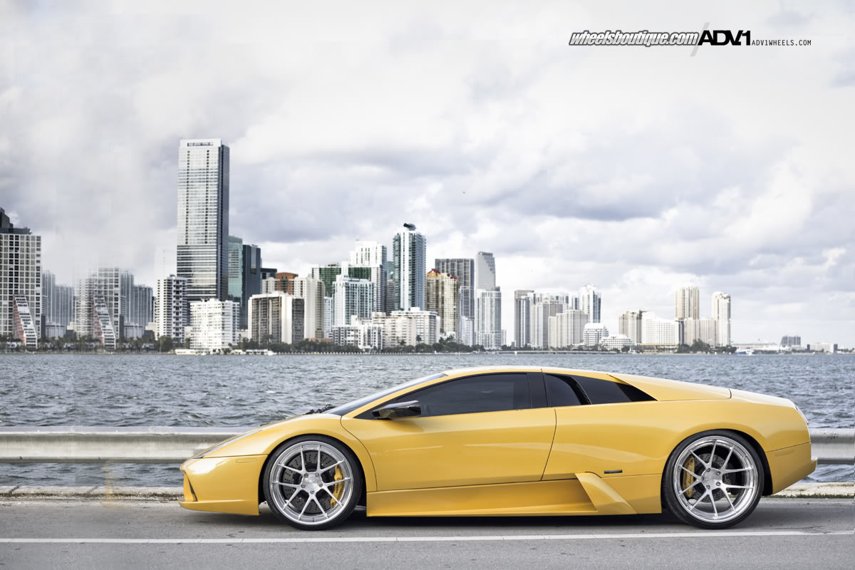 2010 Lamborghini Murcielago photo
