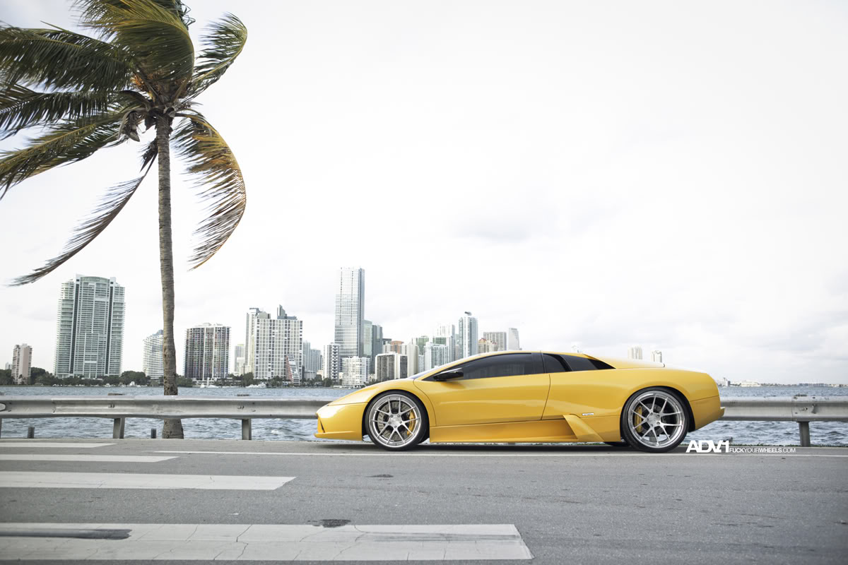 2010 Lamborghini Murcielago photo