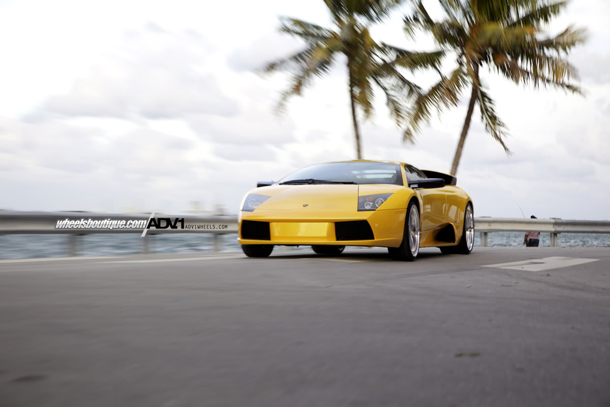 2010 Lamborghini Murcielago photo