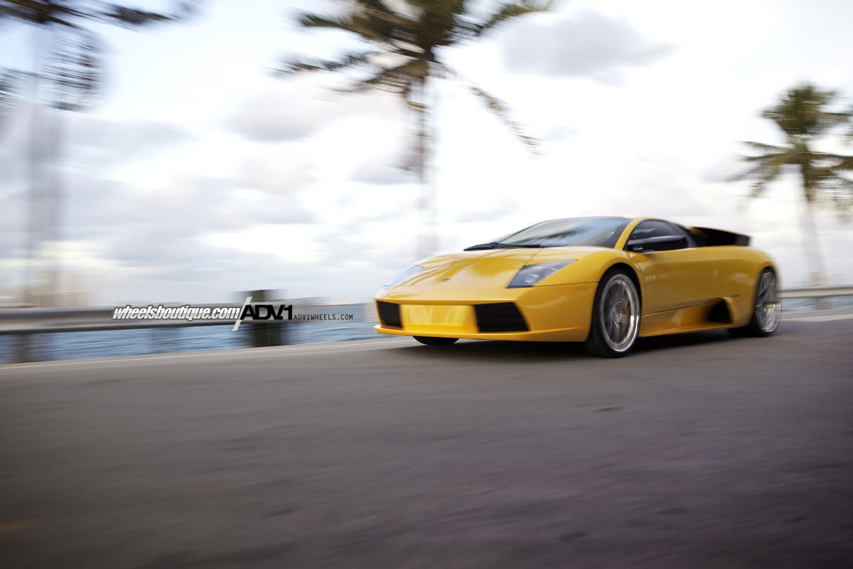 2010 Lamborghini Murcielago photo