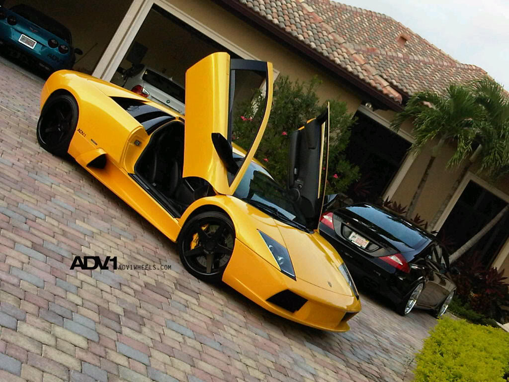 2010 Lamborghini Murcielago photo