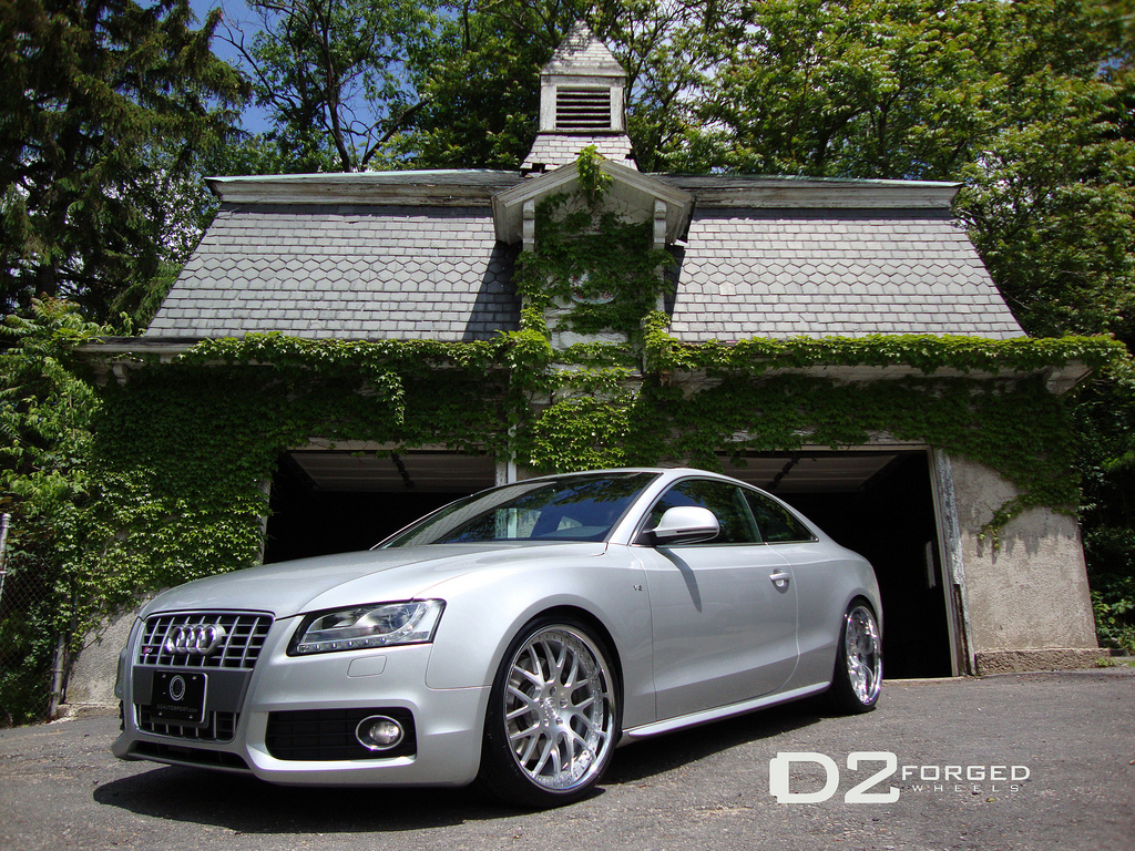 2010 Audi S5 photo