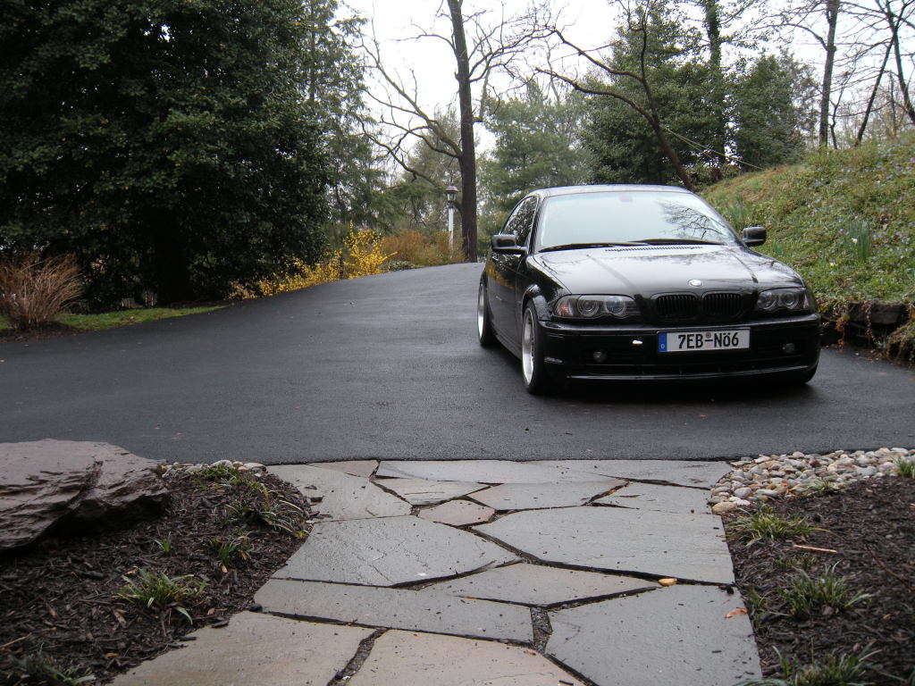 2000 BMW  323 photo
