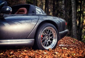 2010 Dodge Viper