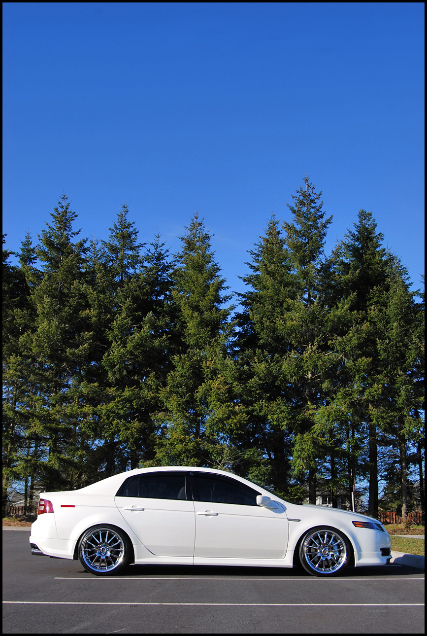 2004 Acura TL photo