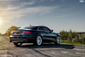 2012 Audi S5
