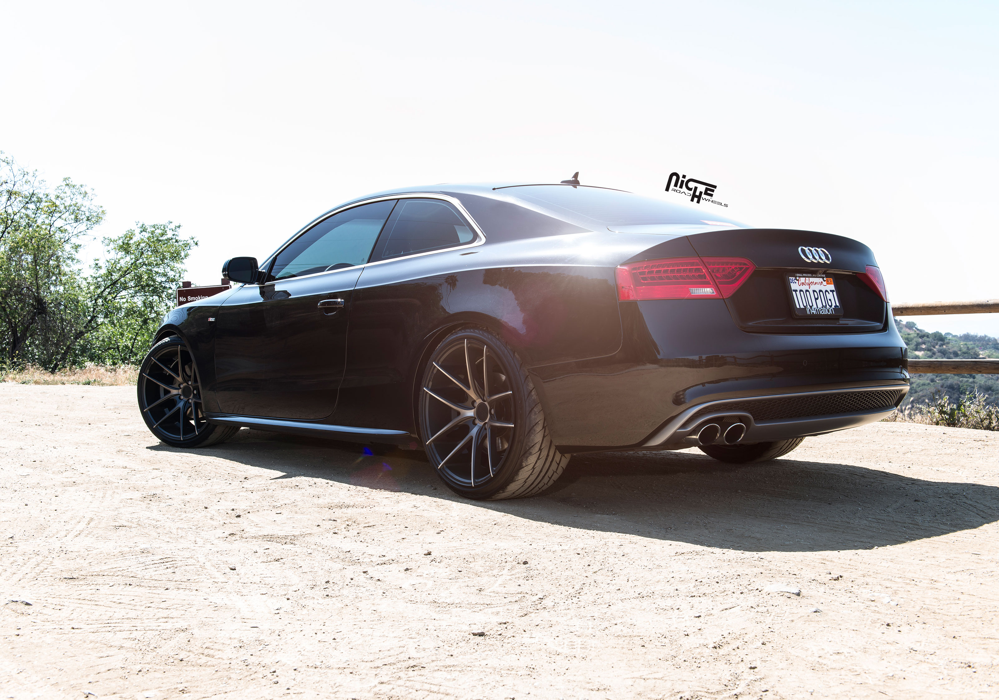 2014 Audi S5 photo