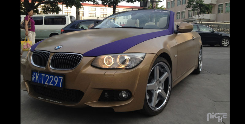 2010 BMW 335 photo