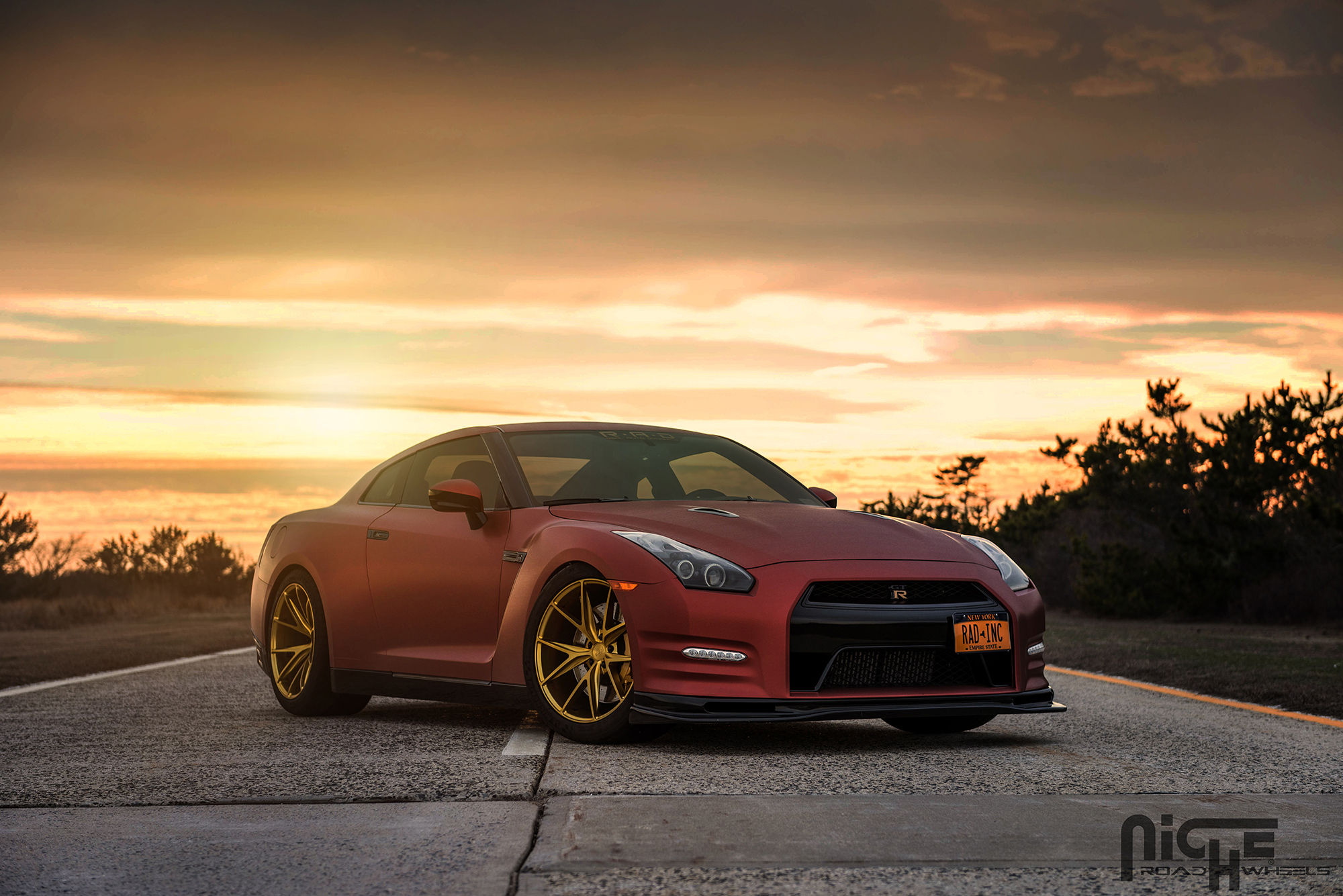 2014 Nissan GT-R photo
