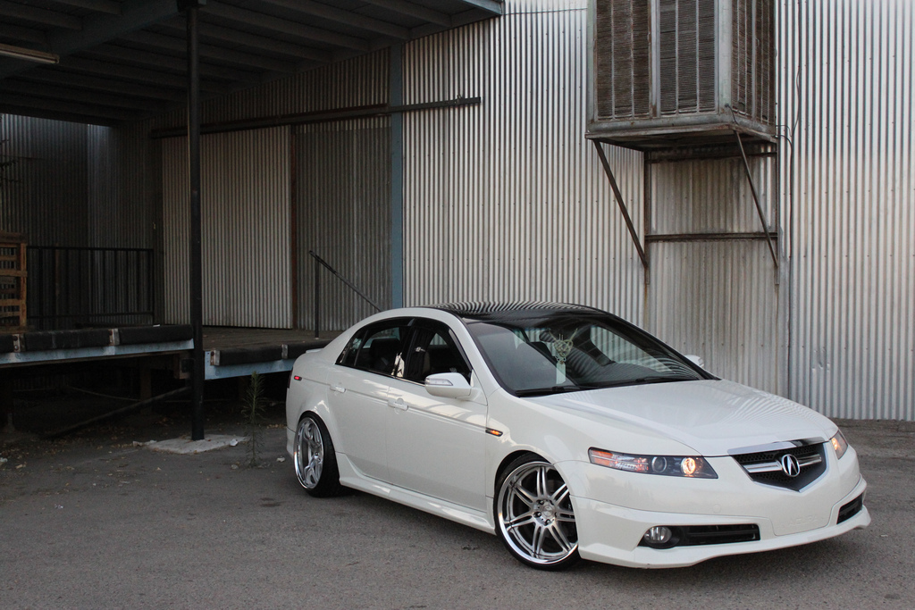 2008 Acura TL photo