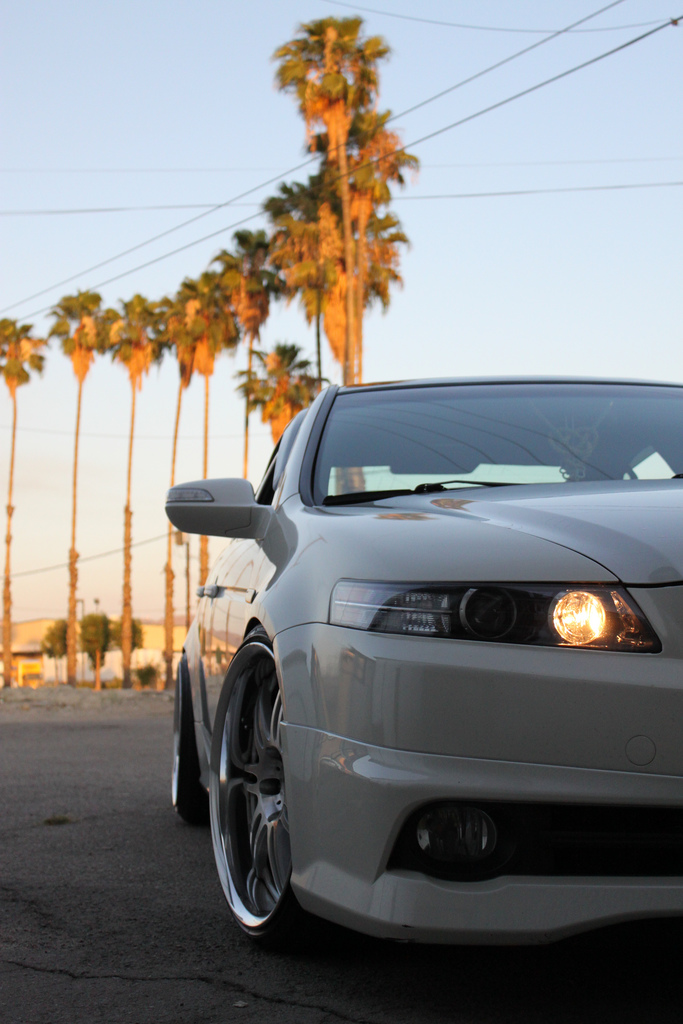 2008 Acura TL photo