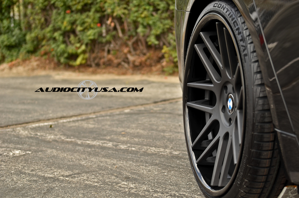 2011 BMW 750 photo