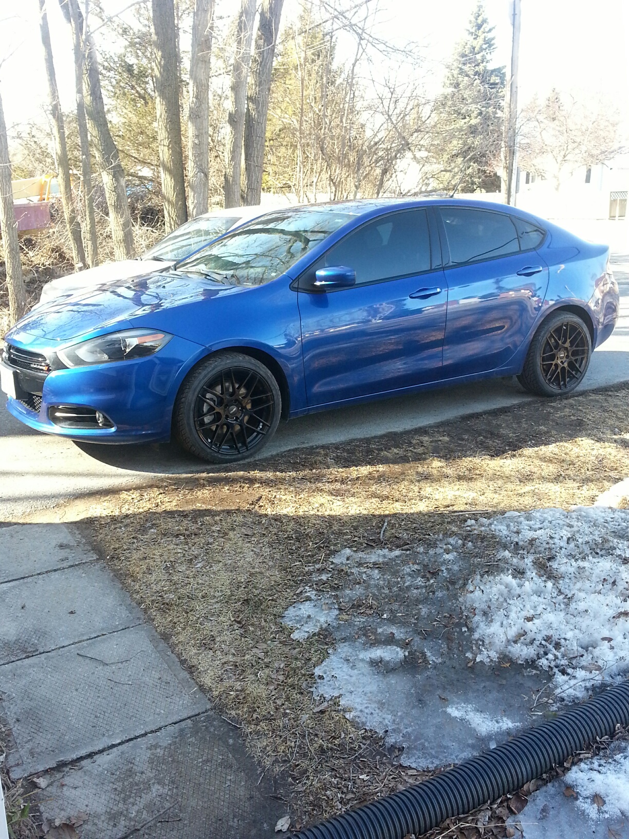 2014 Dodge Dart photo