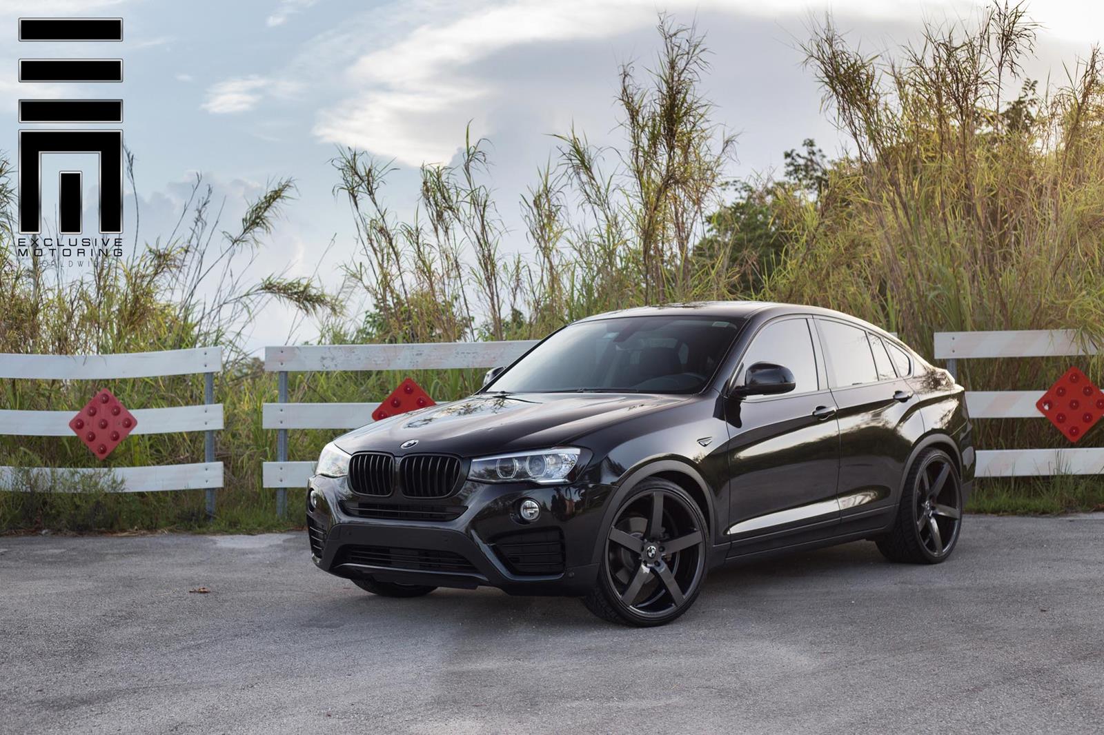2015 BMW X4 photo