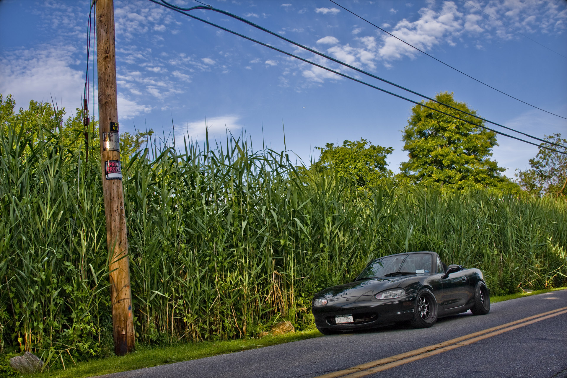 1999 Mazda MX-5 Miata photo