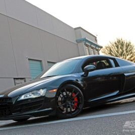 2010 Audi R8