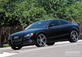 2010 Audi A5
