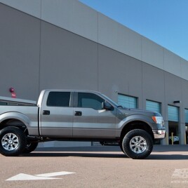 2010 Ford F-150