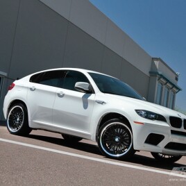 2010 BMW X6